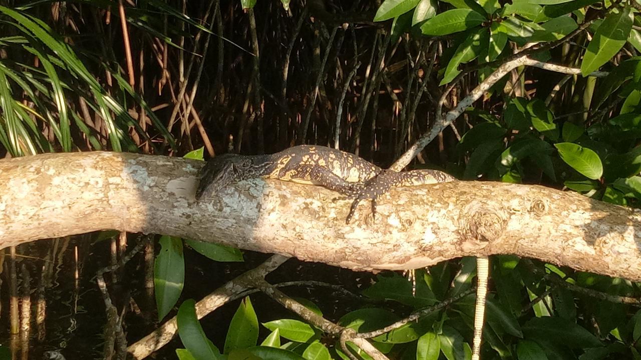 Mahi Villa Bentota Exteriér fotografie