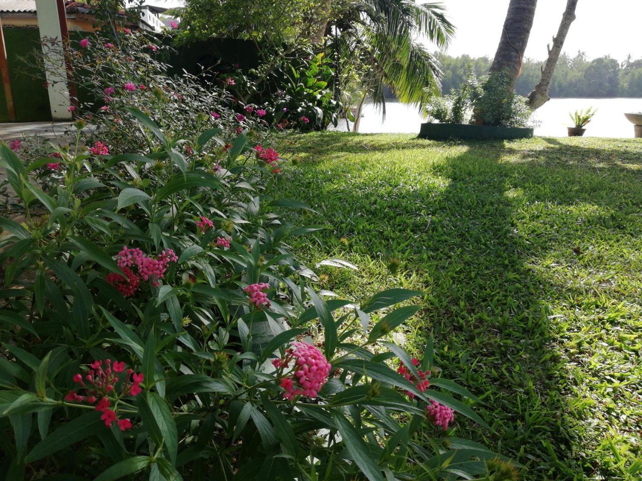 Mahi Villa Bentota Exteriér fotografie